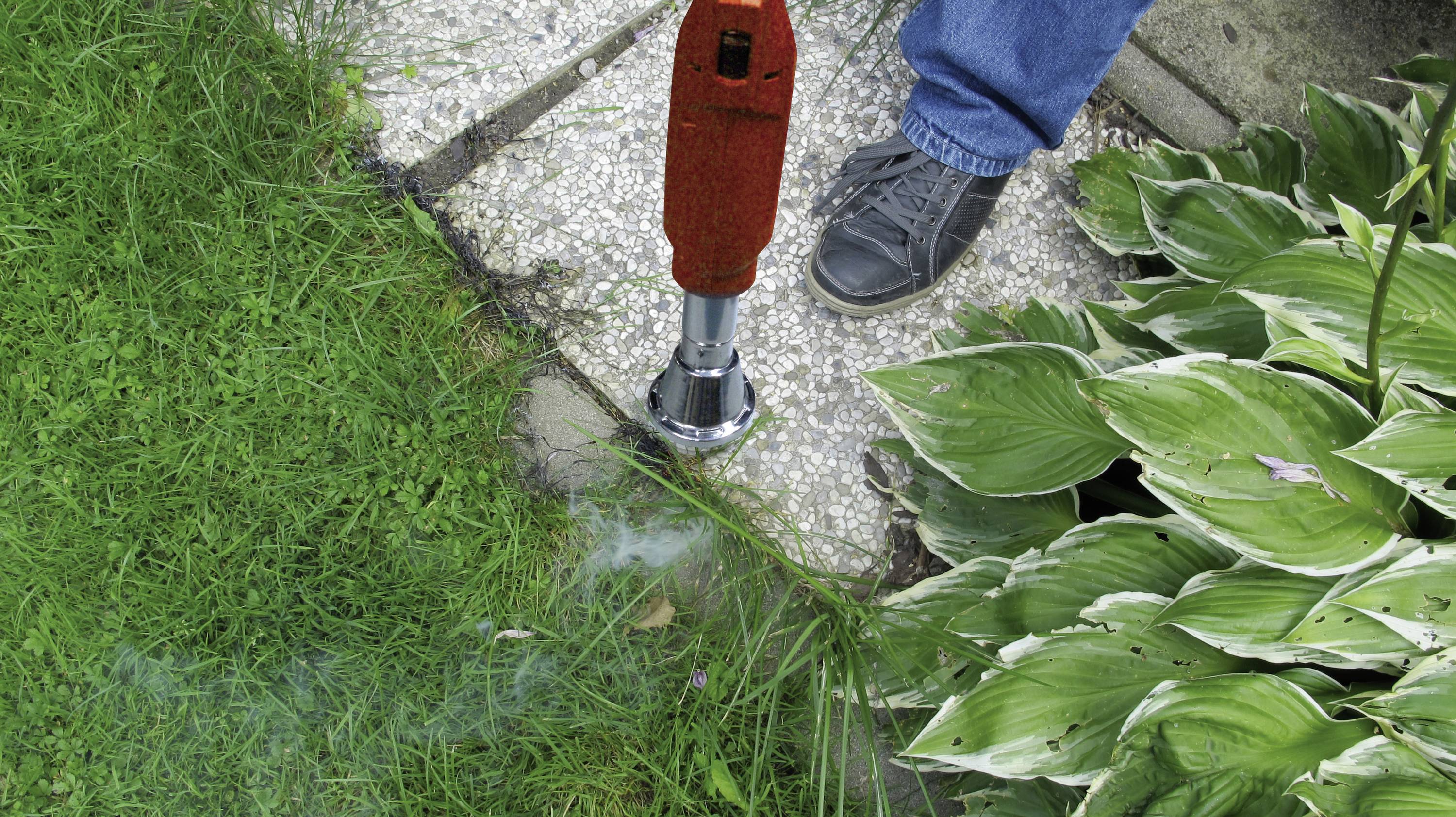 A person is using a red gardening tool to remove weeds at the edge of a paved pathway beside green leaves.