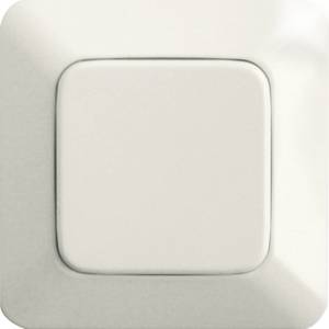 A white light switch on a wall in close-up.