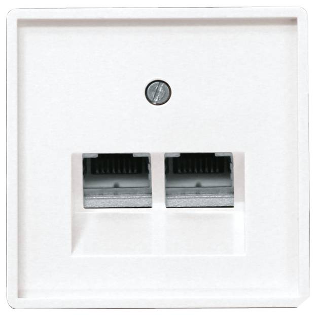 Two network sockets in a white wall plate for Ethernet cables, suitable for internet connections in a home or office.