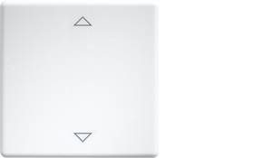 W-FT55-rw+2P Eltako Rocker switch
