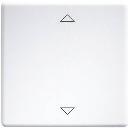 W-WT/WS65-wg+2P Eltako Rocker switches