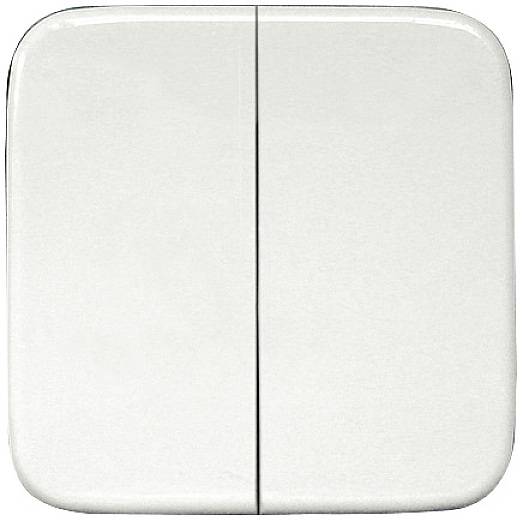 DW-FT55R- Eltako Wireless 2 gang rocker