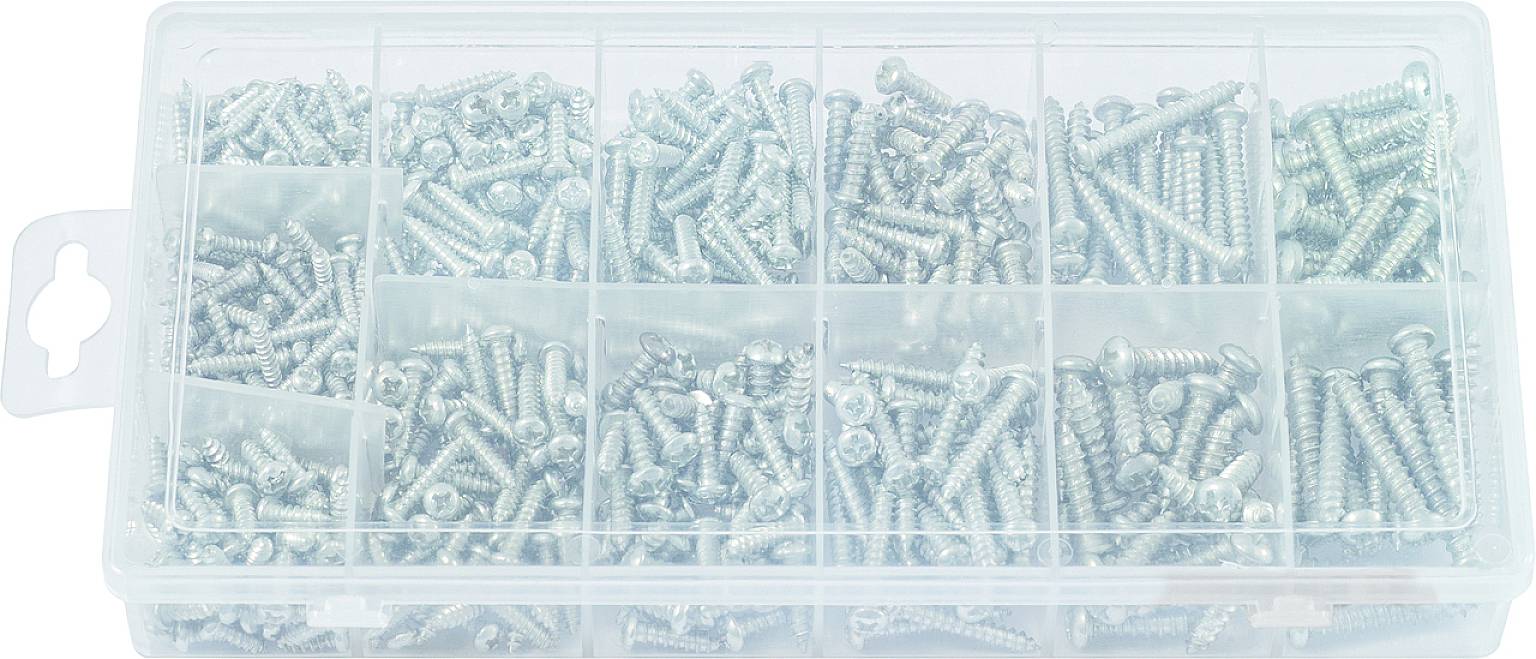 A plastic box containing numerous silver screws, organised in various sizes and compartments.