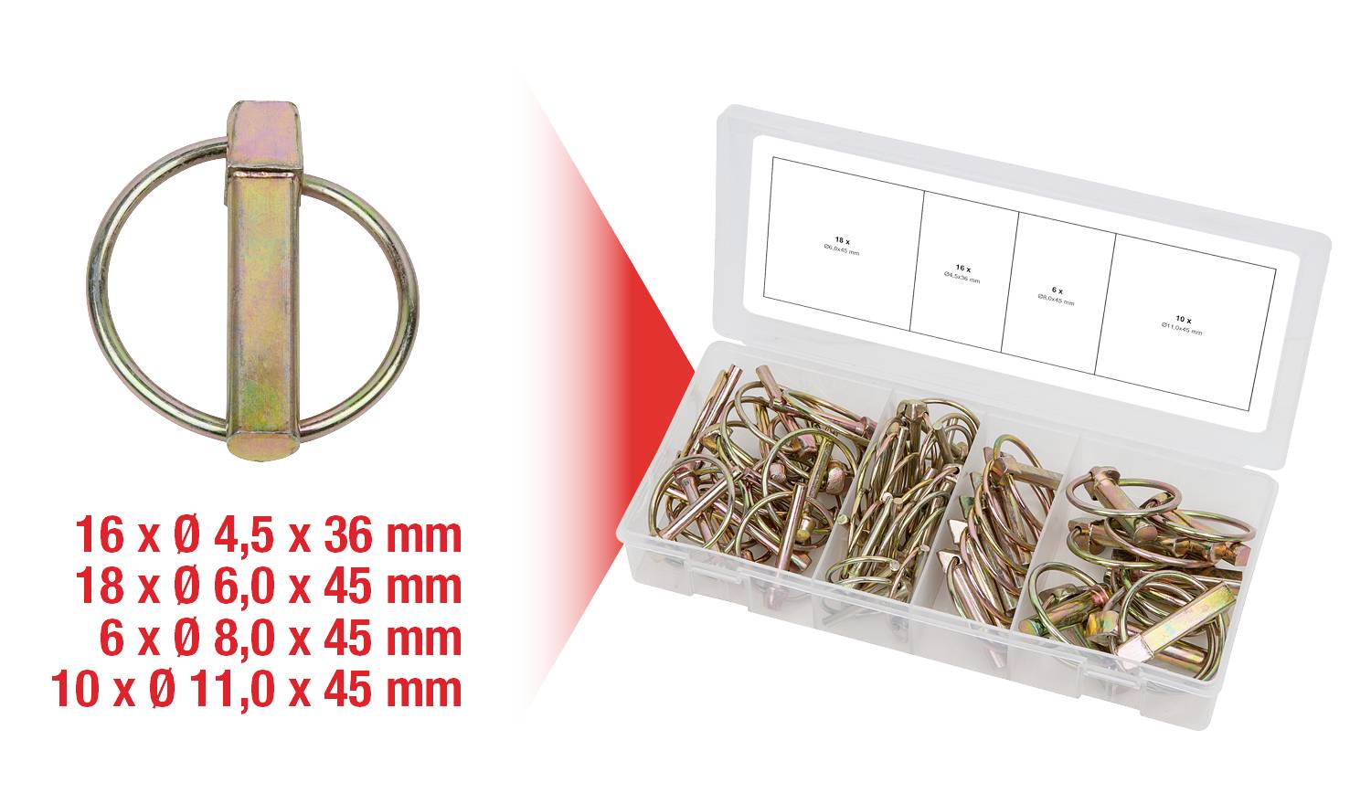 An open plastic box with various metal rings and split pins in separate compartments. Size specifications: 16 x Ø 4.5 mm, 18 x Ø 6.0 mm, 6 x Ø 8.0 mm, 10 x Ø 11.0 mm.