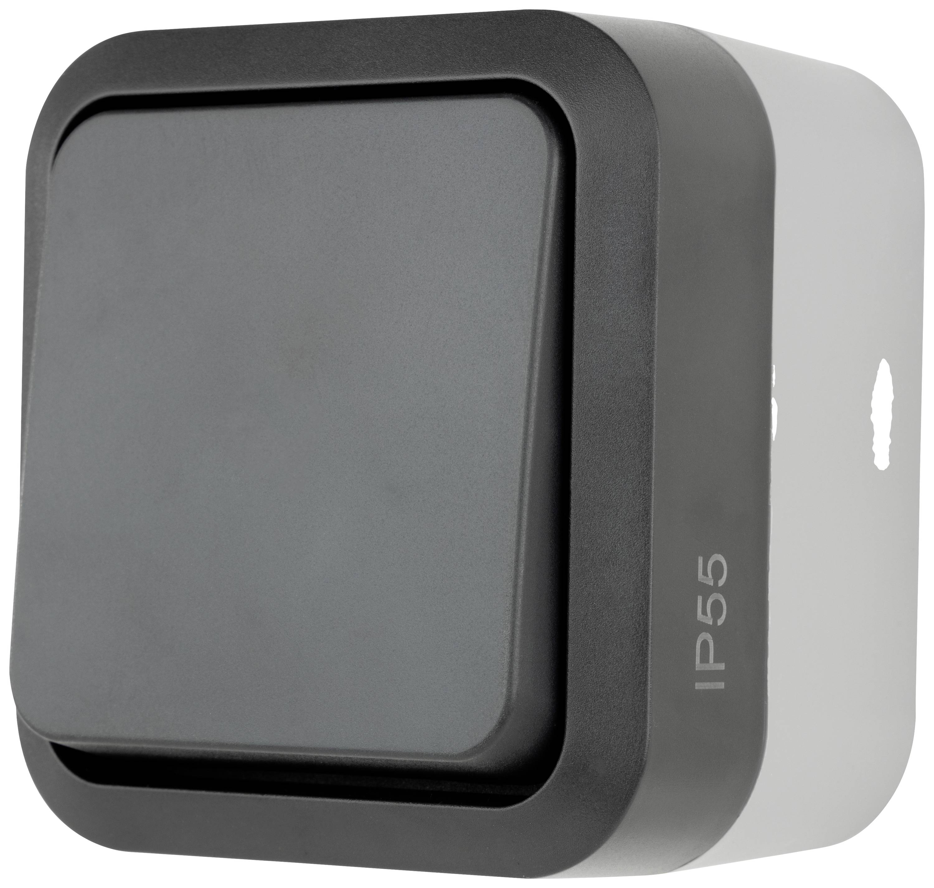 REV Complete Toggle switch AquaStorm Light grey, Black 0004300400 1 pc(s)