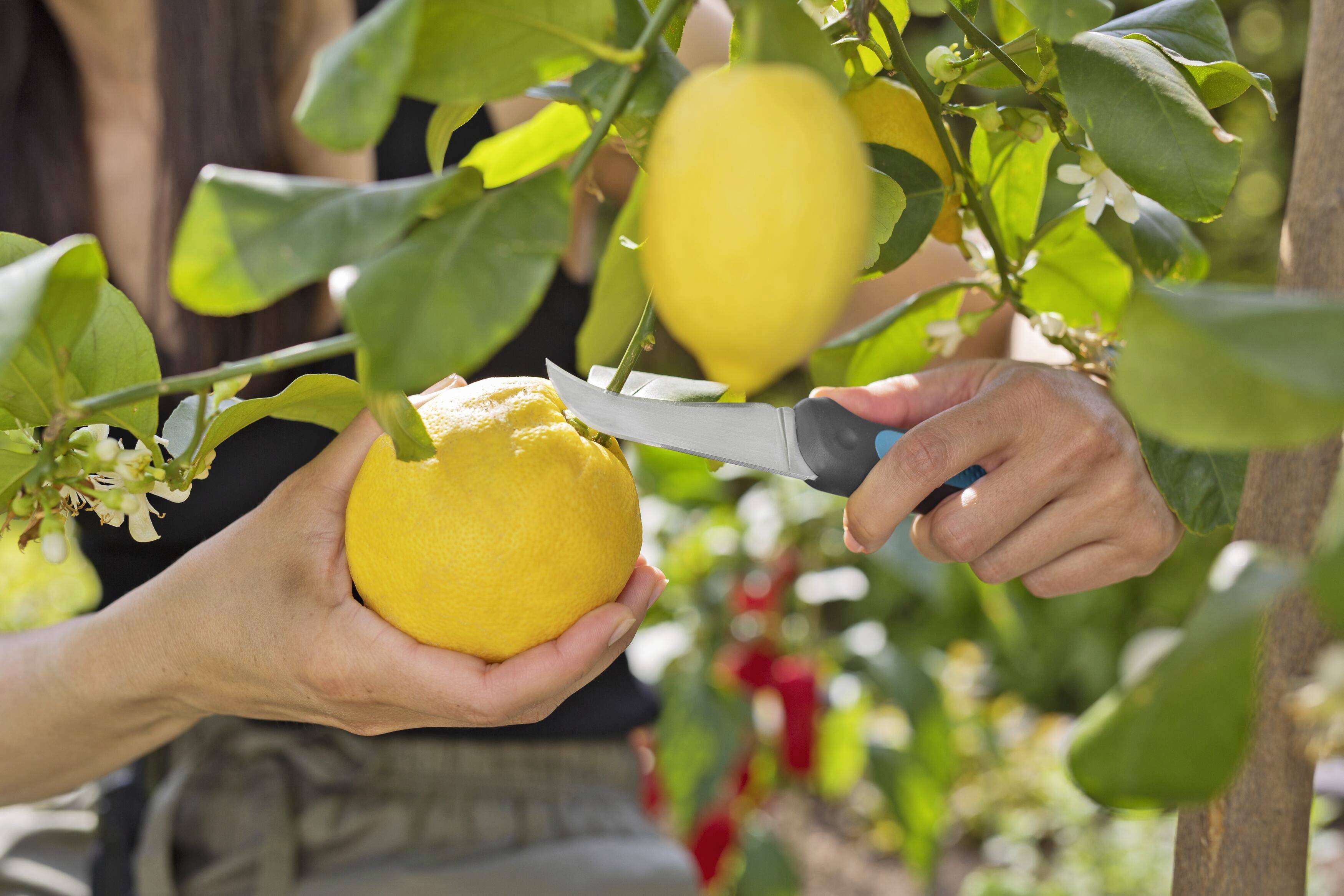 GARDENA 12211-20 Garden knife