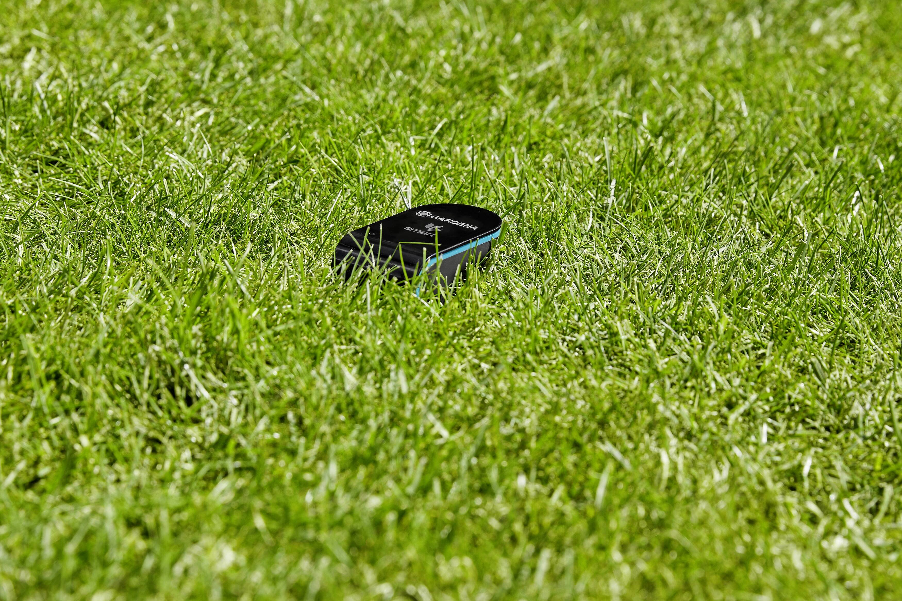A black device lies in the dense, green grass.