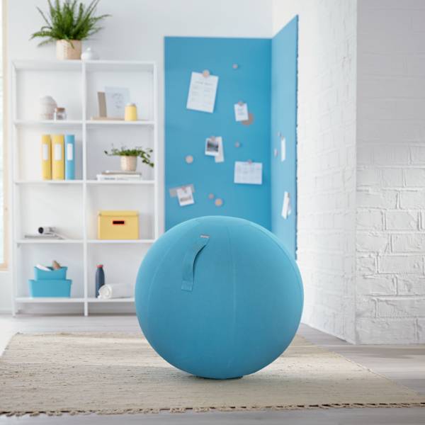 A bright room with a turquoise exercise ball in the foreground. In the background, a bookshelf stands with plants and books.