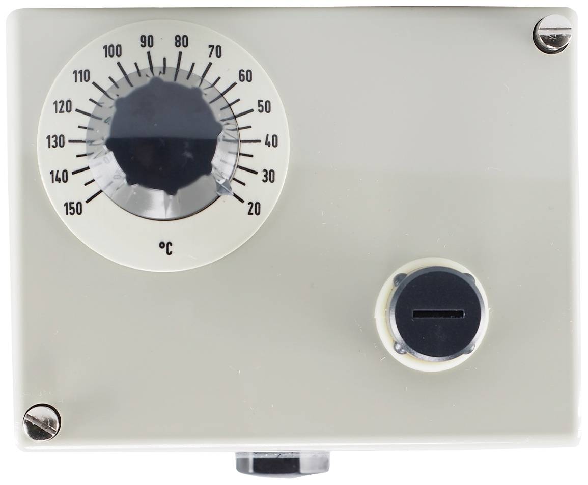 Jumo 60000989 Doppelthermostat