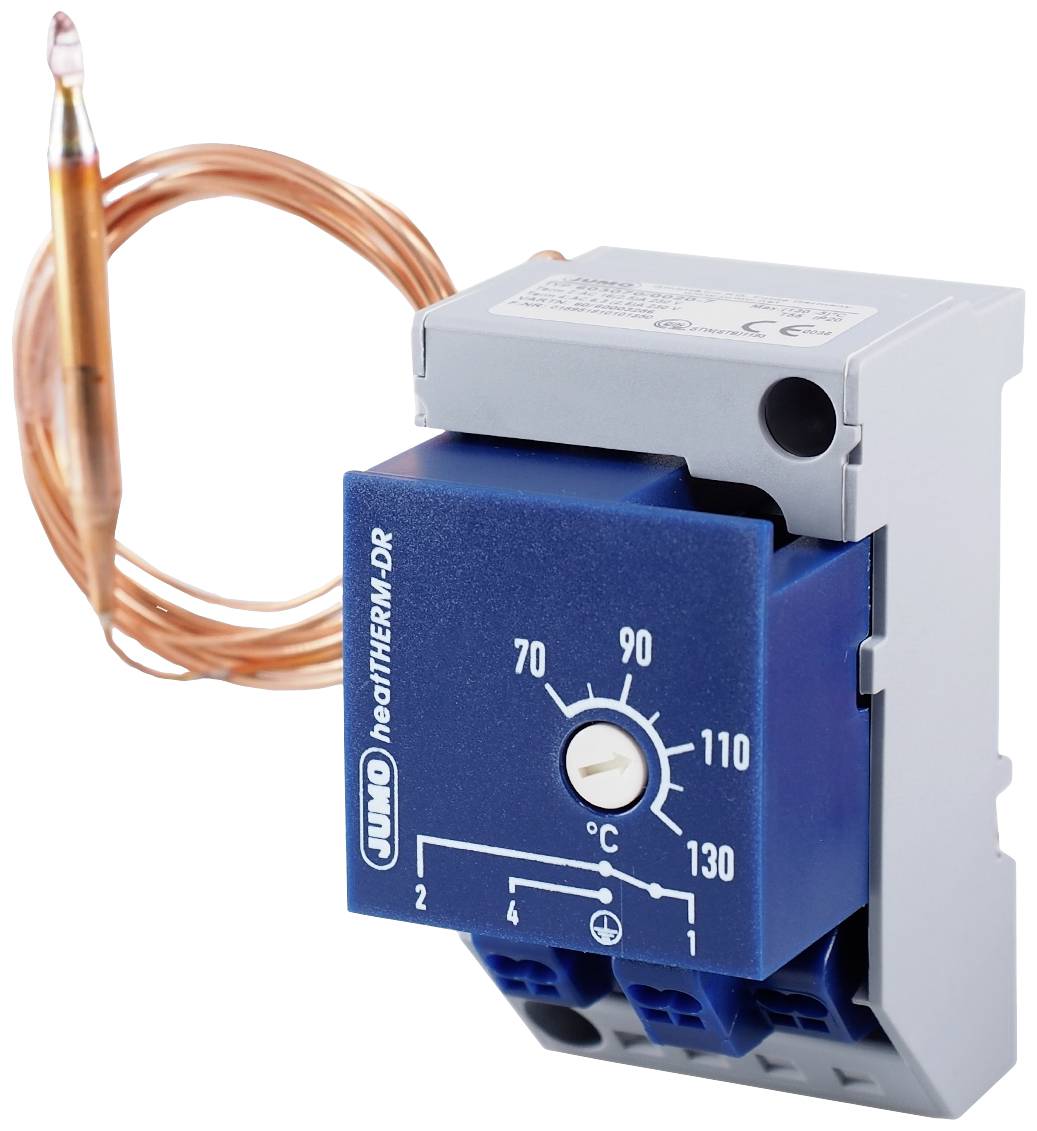 Jumo 60003286 Temperature monitor