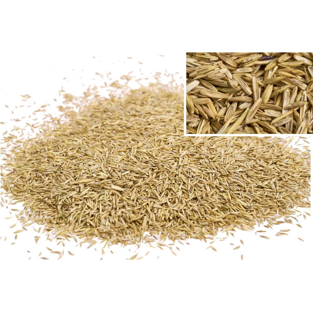 A pile of oats, with a close-up of the grains in the top right corner. A main ingredient in wholemeal flour and animal feed.