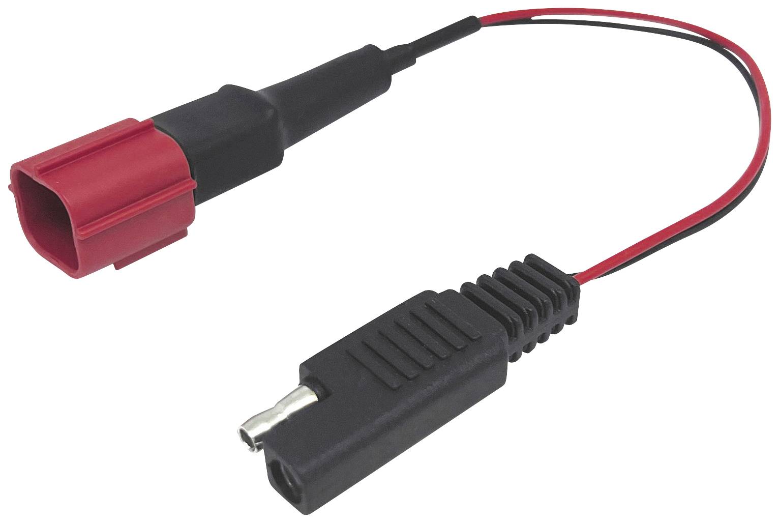 BAAS BA5 Cable DDA Ducati-EURO5 SAE/Multiconnector
