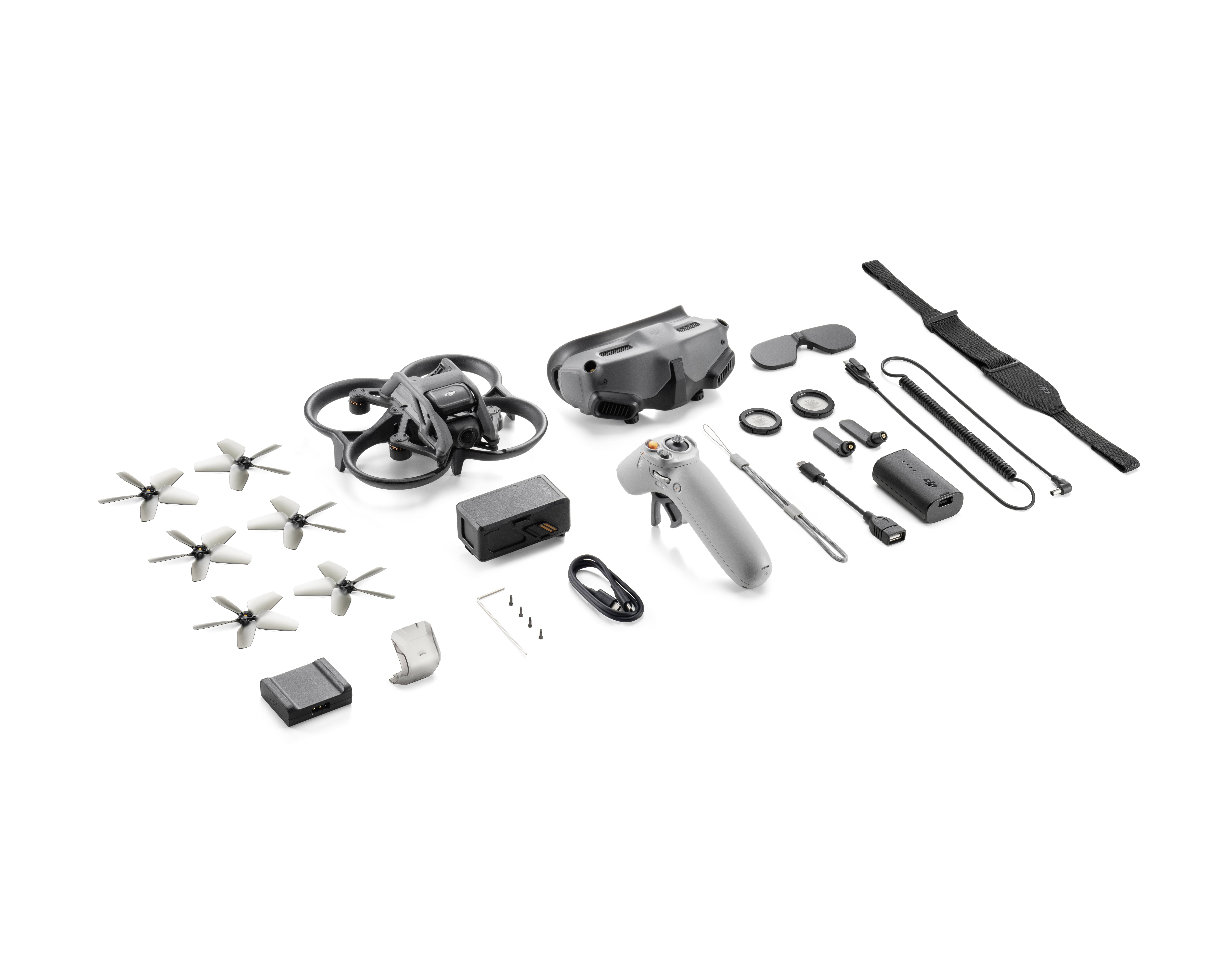 DJI Avata Pro-View Combo (DJI RC Motion 2) Race copter RtF First Person View, Camera drone