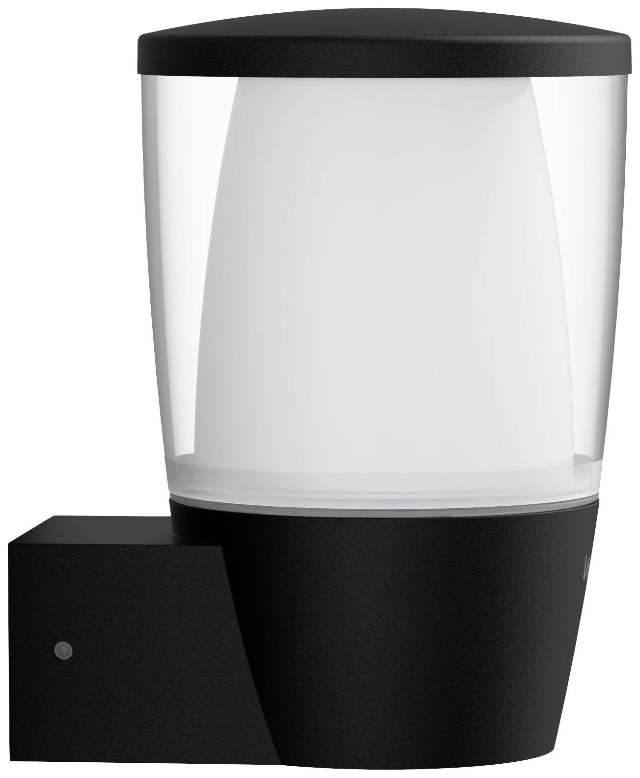 Modern black outdoor light with a semi-cylindrical, clear housing and matte white interior.
