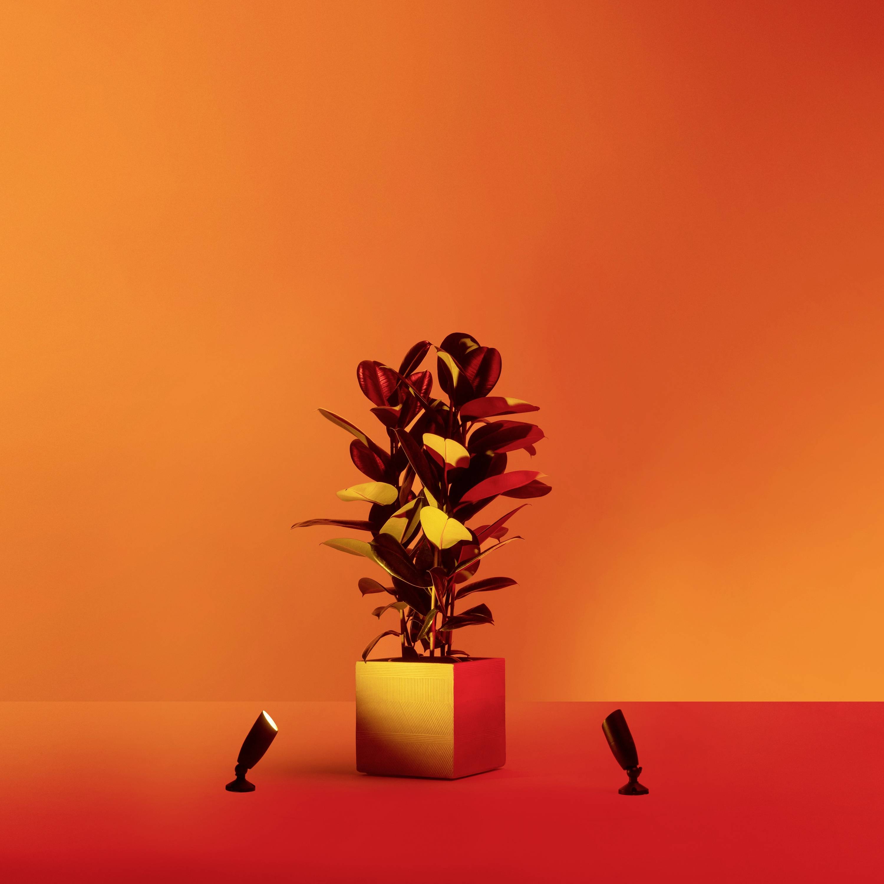 WiZ Ground Spot Extension 8720169071650 LED outdoor floodlight LED (monochrome) Black