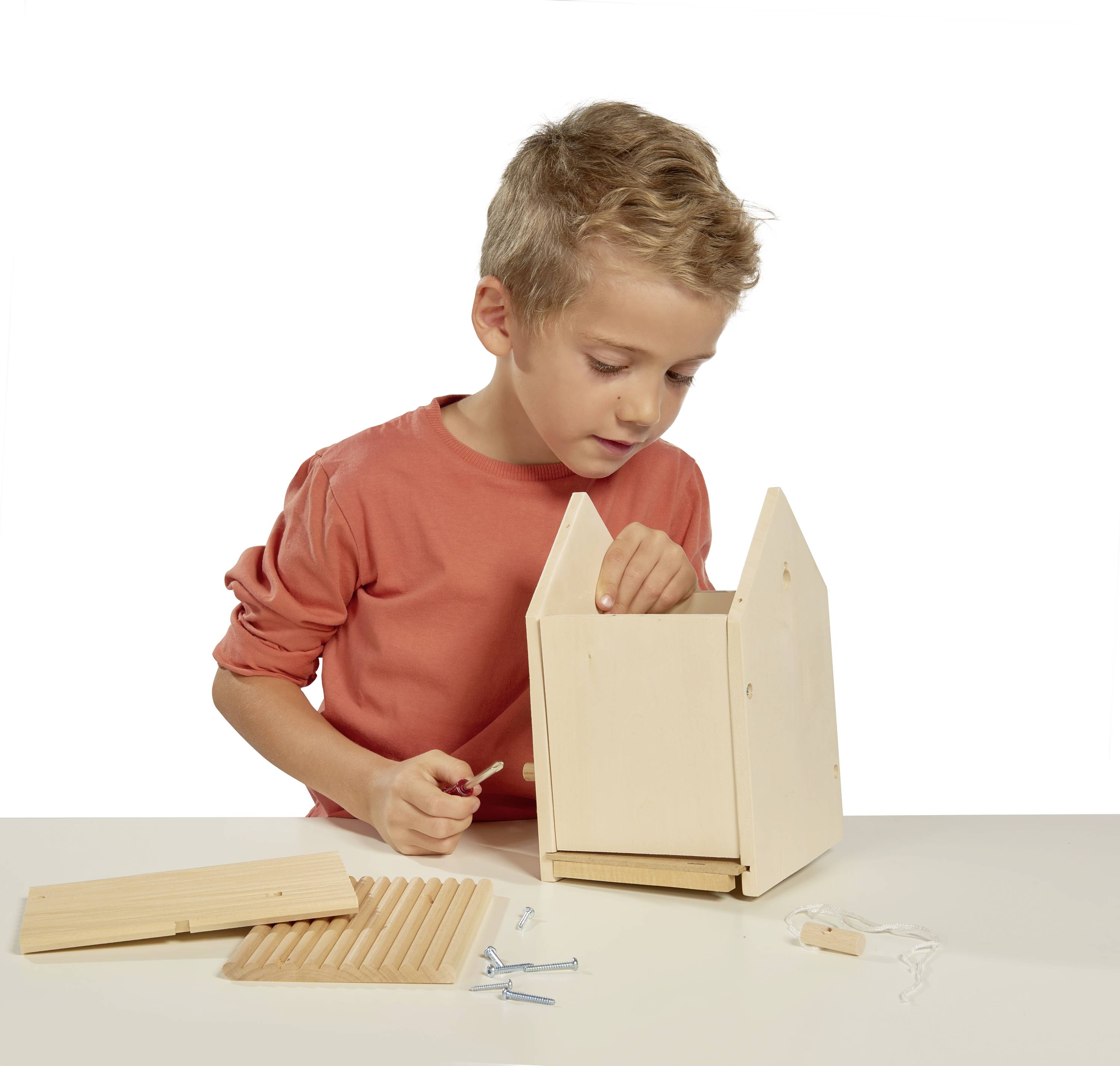 Eichhorn Wooden model and construction kit