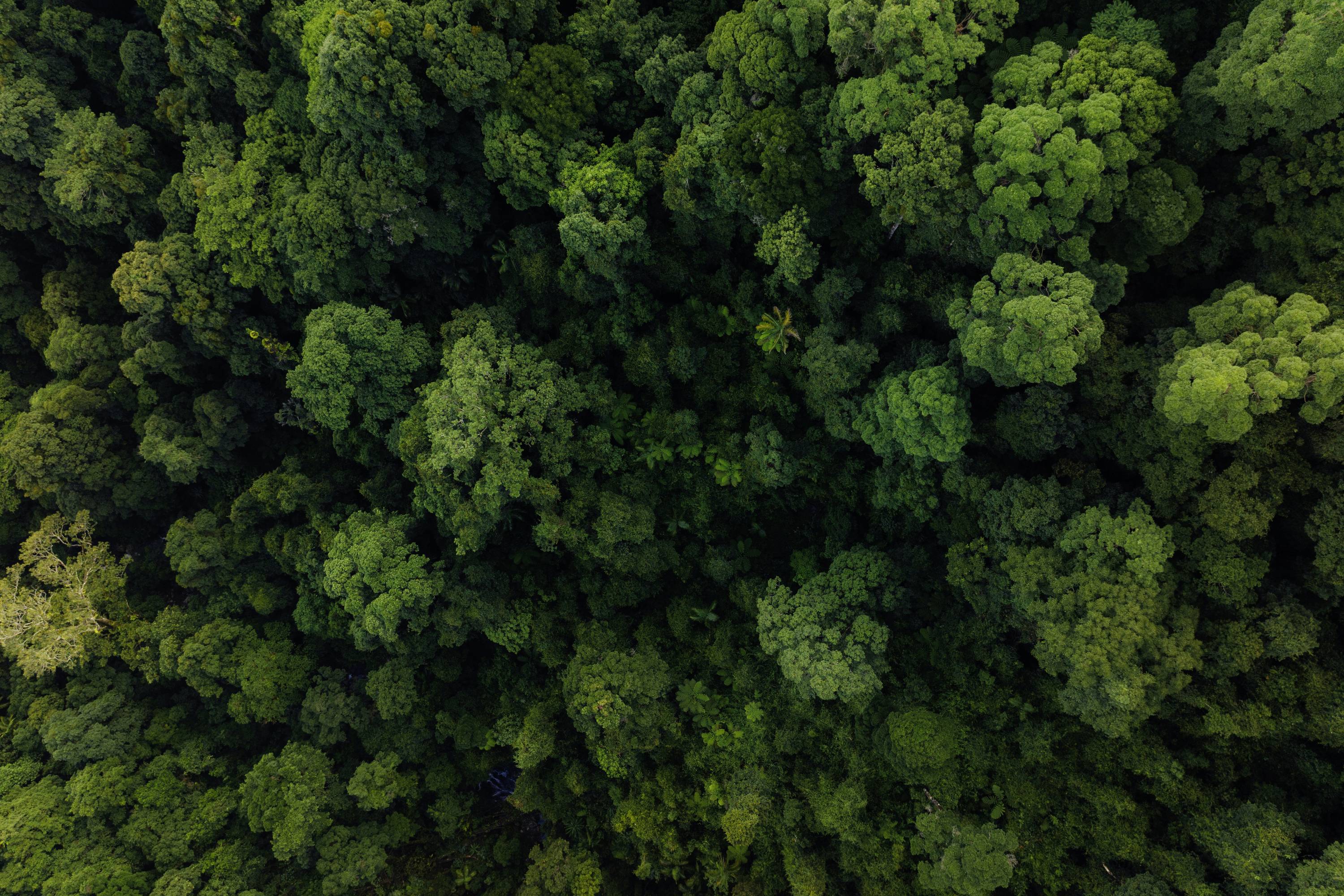 DJI Mavic 3 Pro Fly More Combo (DJI RC PRO) Quadcopter 100% RtR Camera drone, Pro Grey