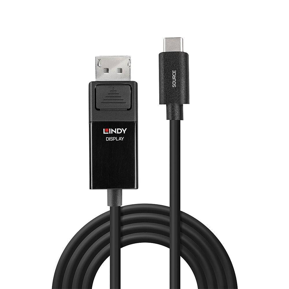 A black cable with a DisplayPort plug on one end and a USB-C plug on the other. Brand name 'LINDY' visible.