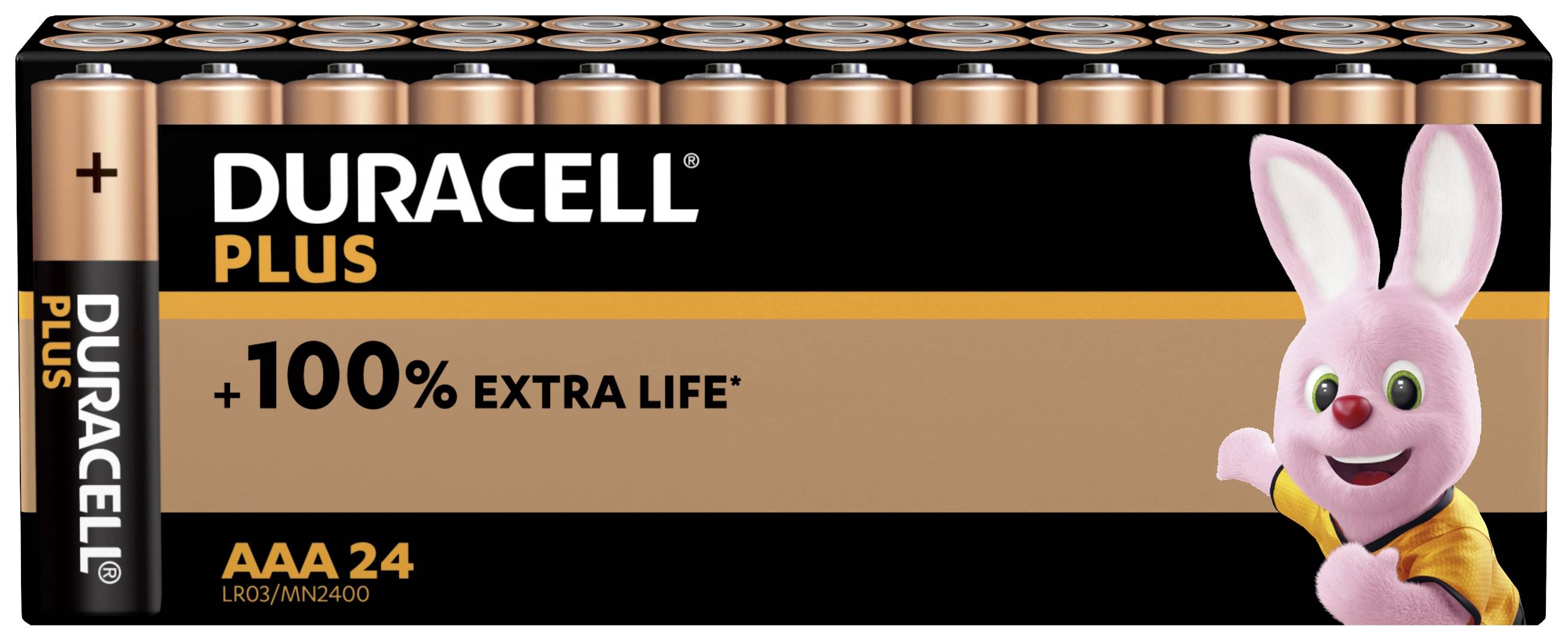 Duracell Plus Power AAA battery Alkali-manganese 1.5 V 24 pc(s)