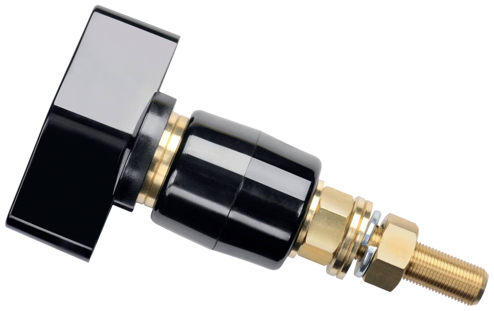 Schützinger Pole terminal Black 200 A 1 pc(s)