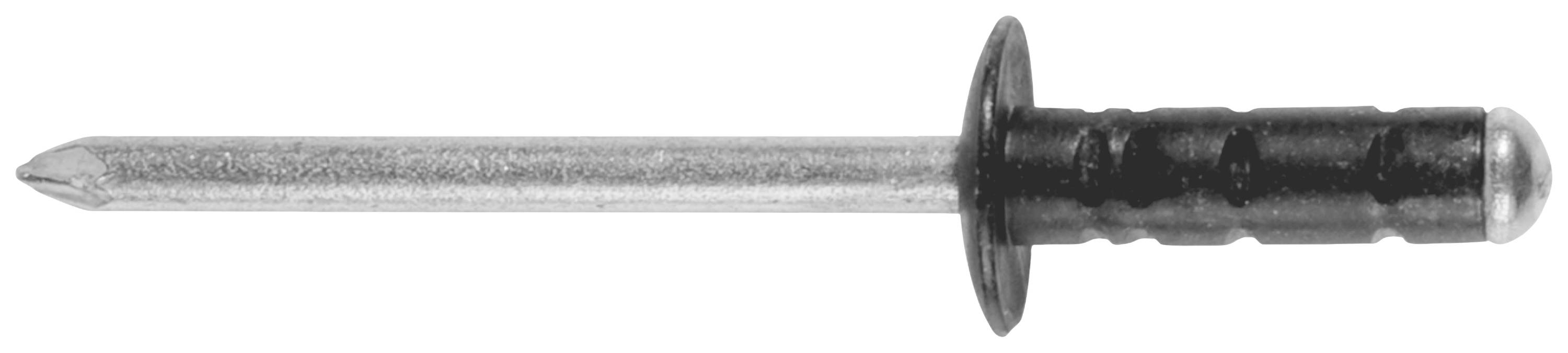 Silver metal nail with a black plastic handle and round head, isolated against a white background.