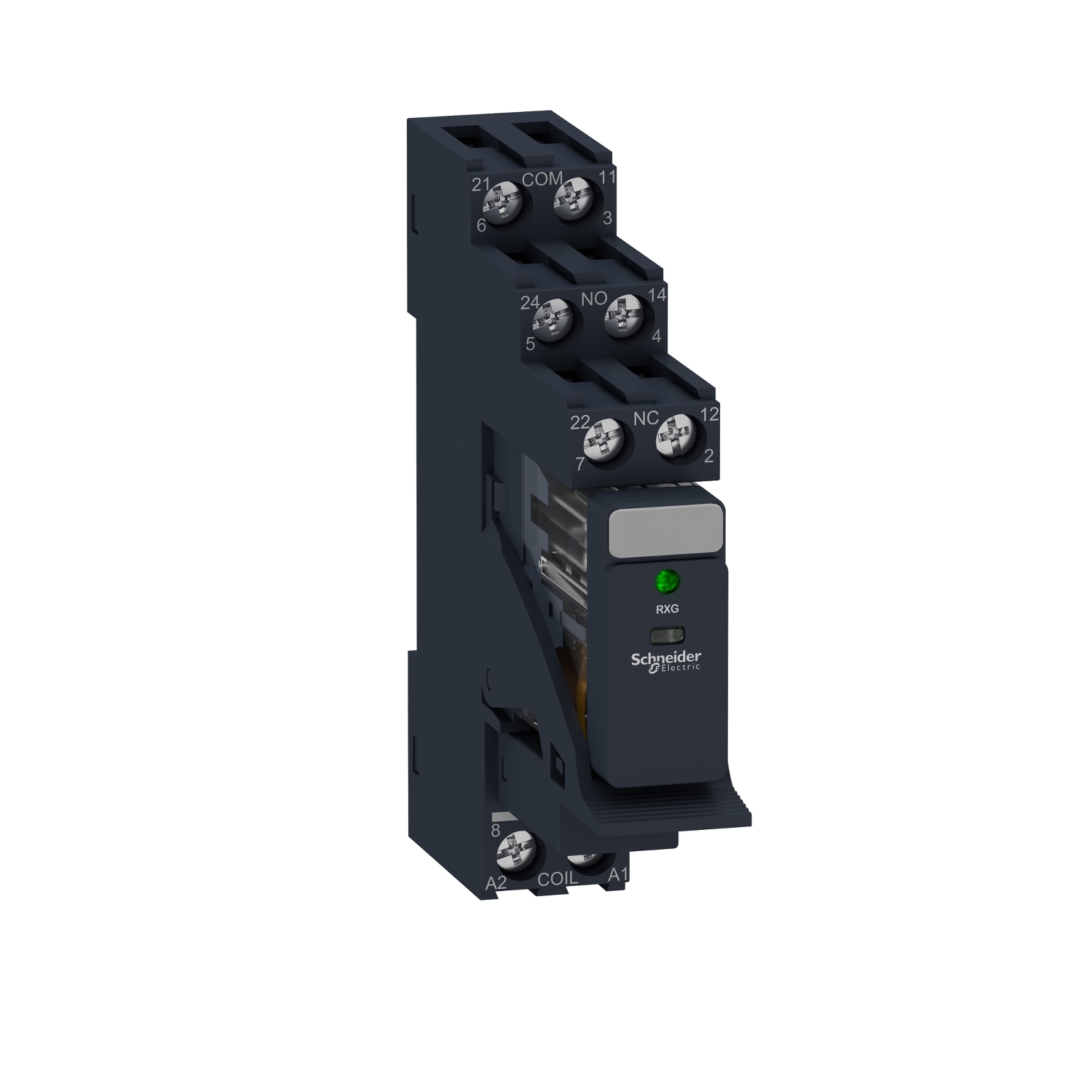 Interface relay Schneider Electric RXG23BDPV 30 pc(s)