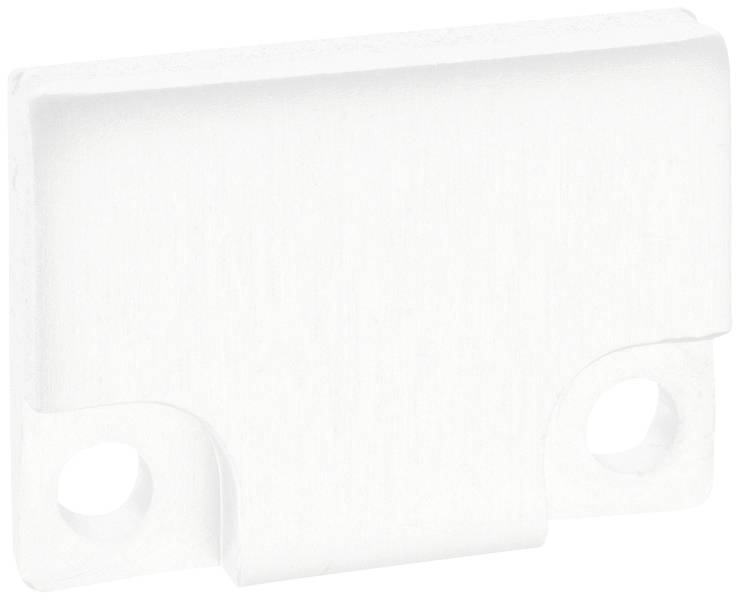 White plastic part with two round holes. The rectangular object has rounded corners and a raised edge on top.