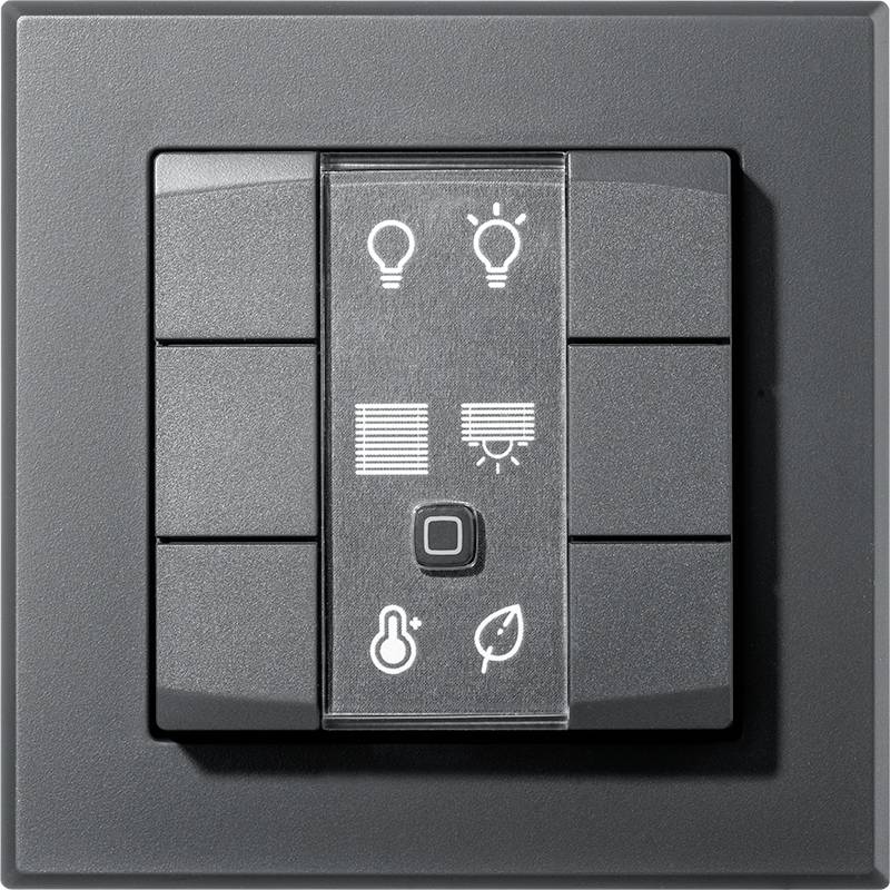 Switch with symbols for light, blinds, temperature, and environment. Rectangular shape, dark colour scheme. Multifunctional.