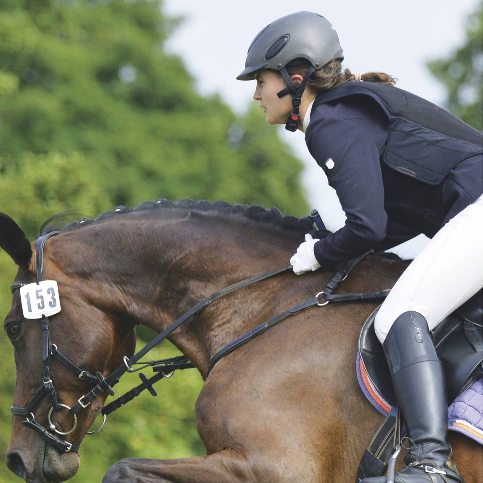 Albrecht ATR 430 Tectalk Training Reiter 29990.S1 Tour Guide