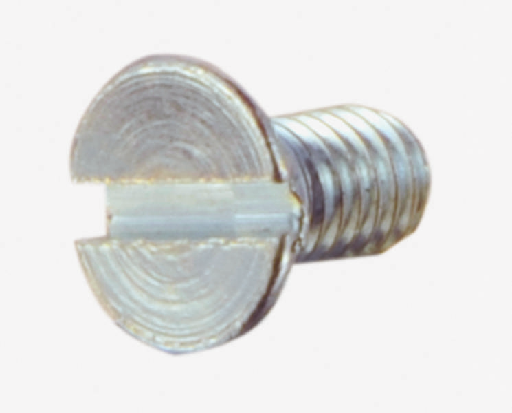 Close-up of a metal screw with a slotted head on a white background, shown from an angle to highlight the thread.