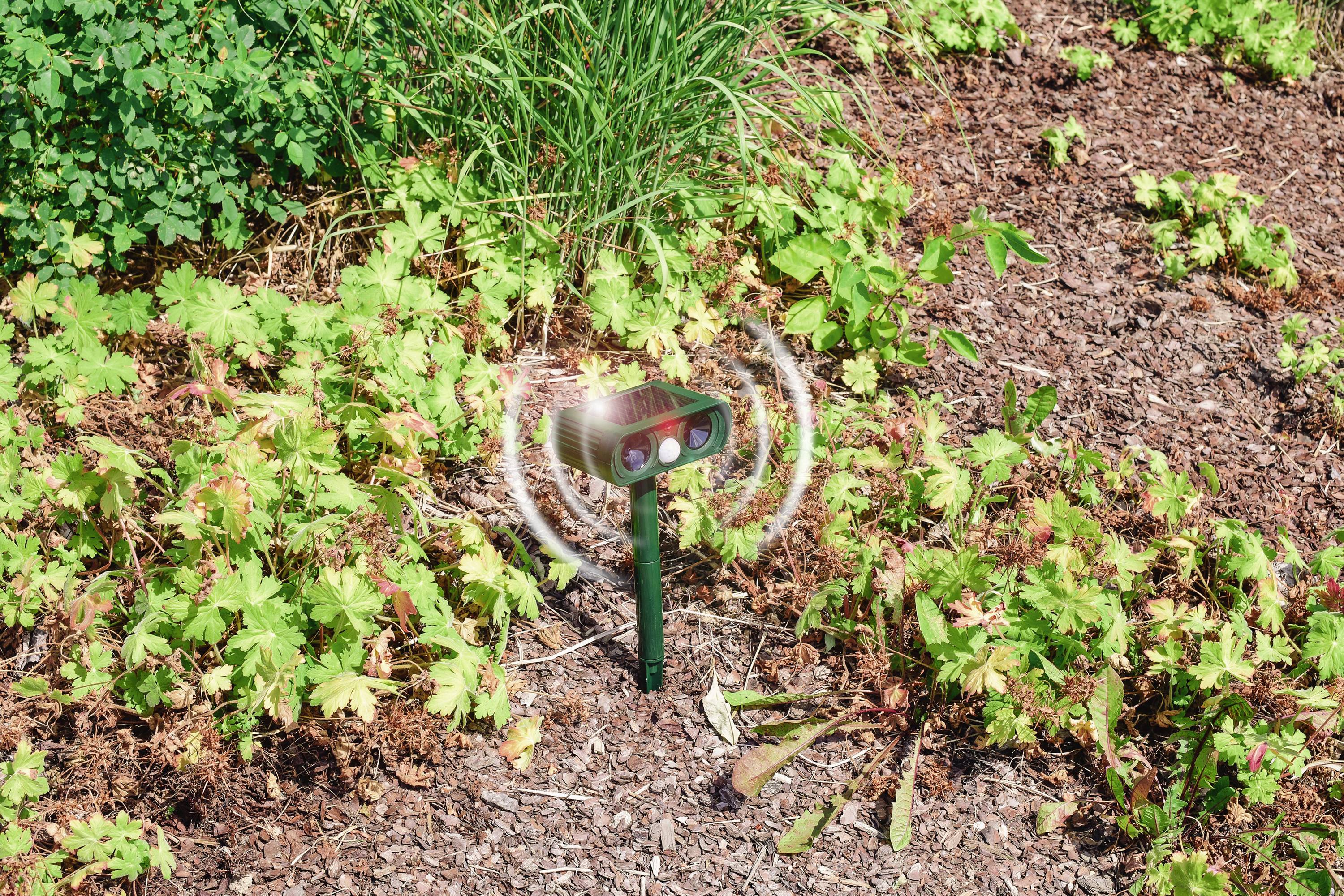 An ultrasonic animal deterrent device stands in a garden, surrounded by plants. It emits sound waves to repel animals.