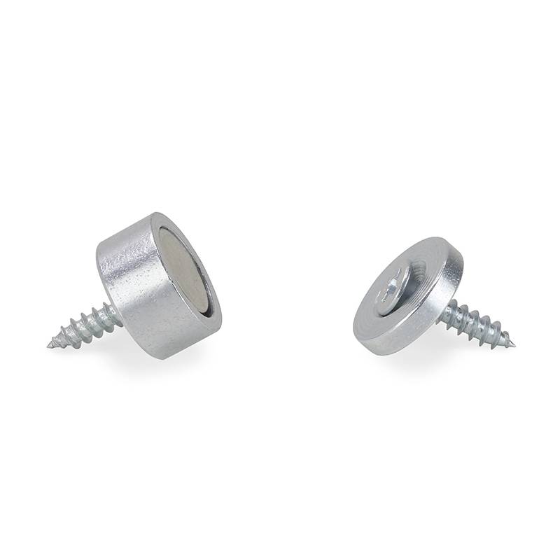 Two silver screws with magnetic mounts on a white background, one lying flat, the other standing upright.