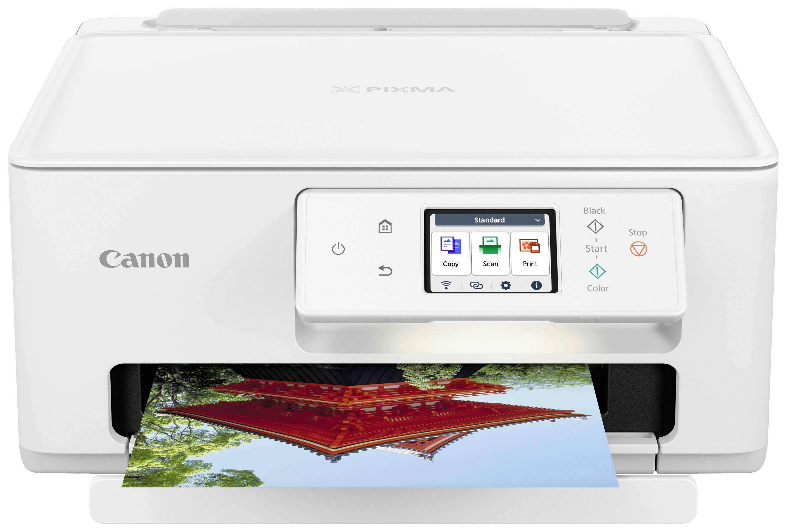 A white printer is printing a coloured photograph of a temple. Printer screen options are visible.
