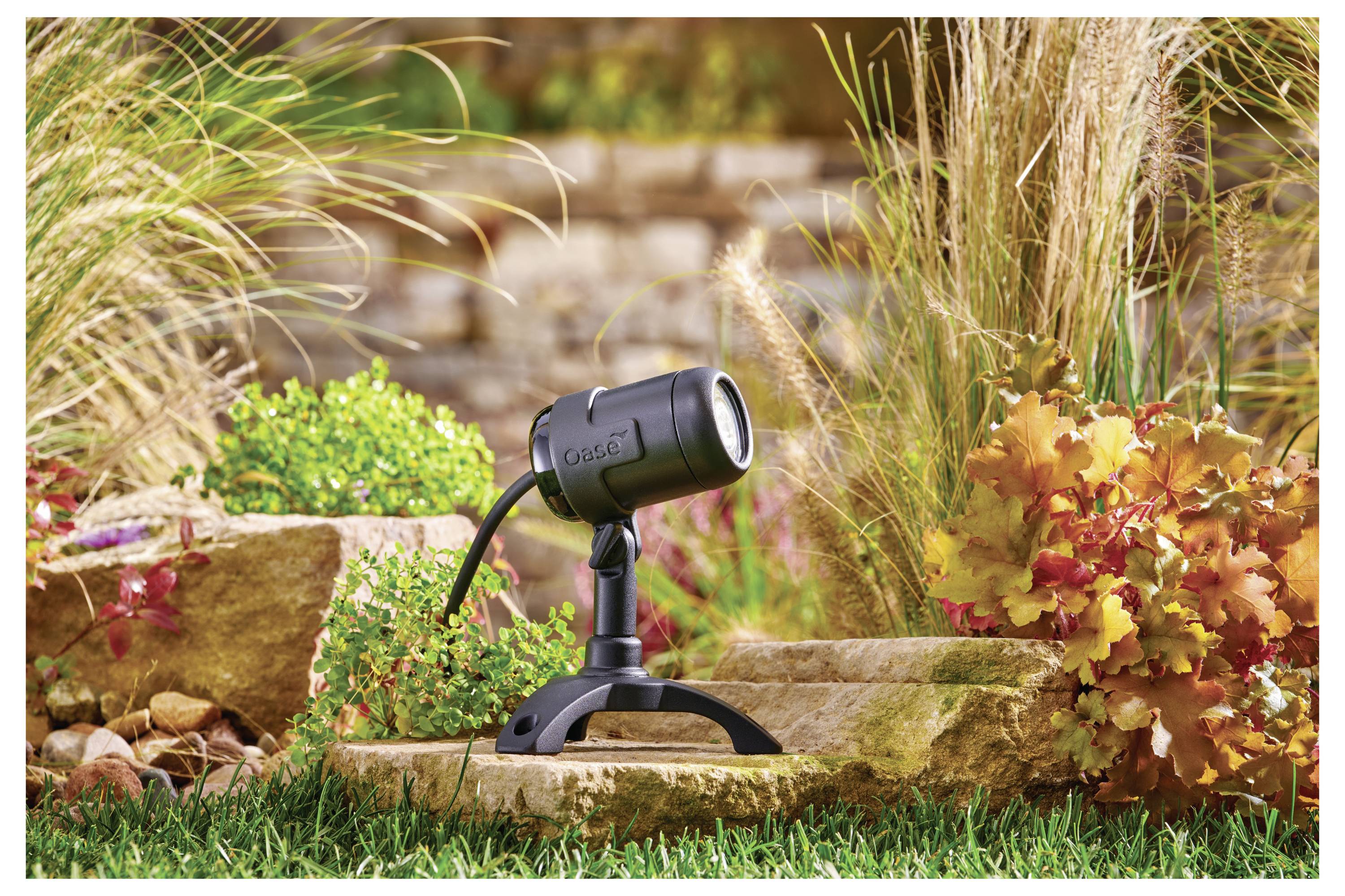 A landscape spotlight is mounted among plants and rocks in a garden, illuminating surrounding foliage with focused light.