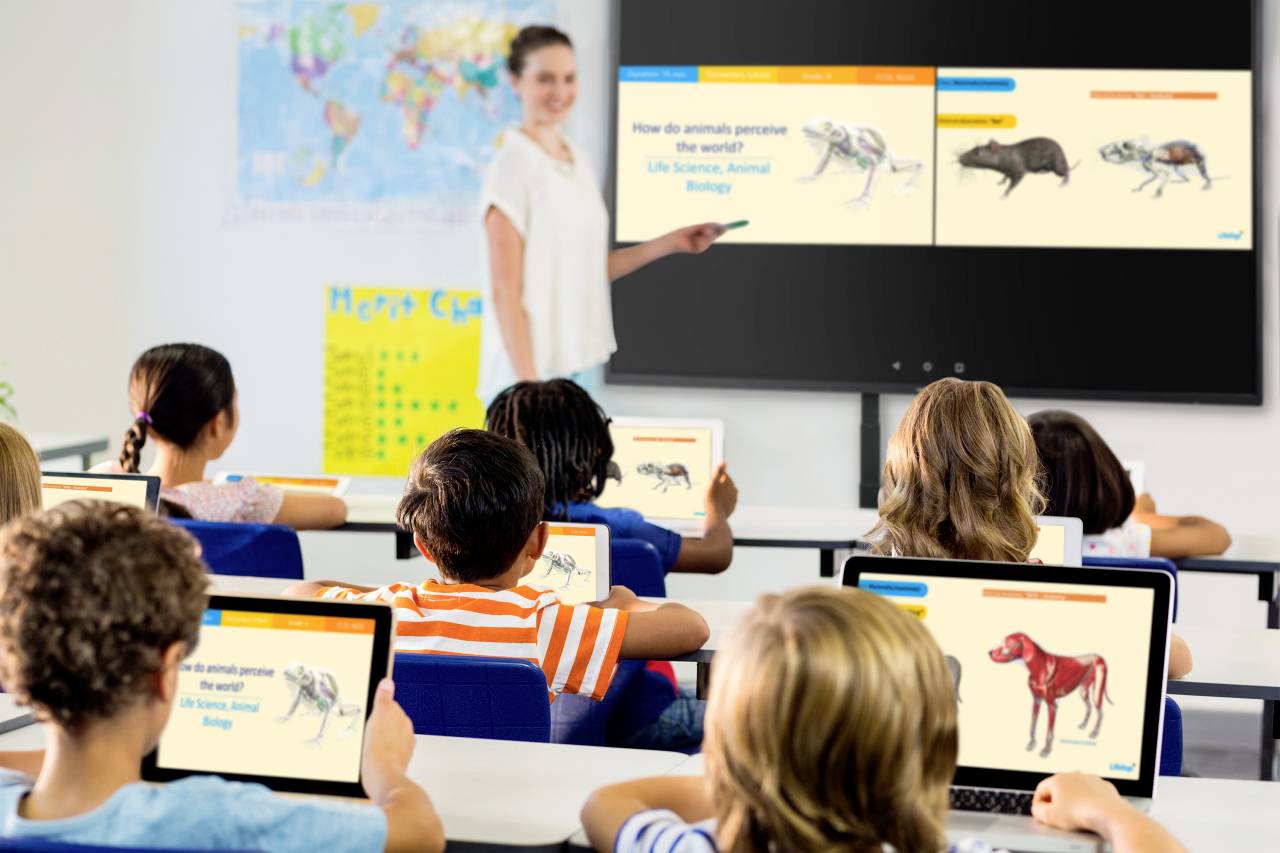 A teacher is teaching in a classroom. Pupils are using tablets to view images of animals on an interactive whiteboard.