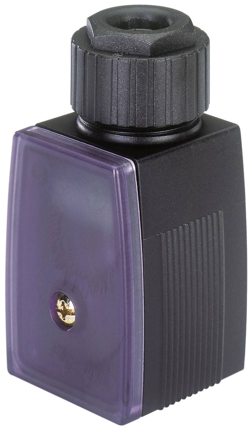 Bürkert Controller 316521 8605 1 pc(s)