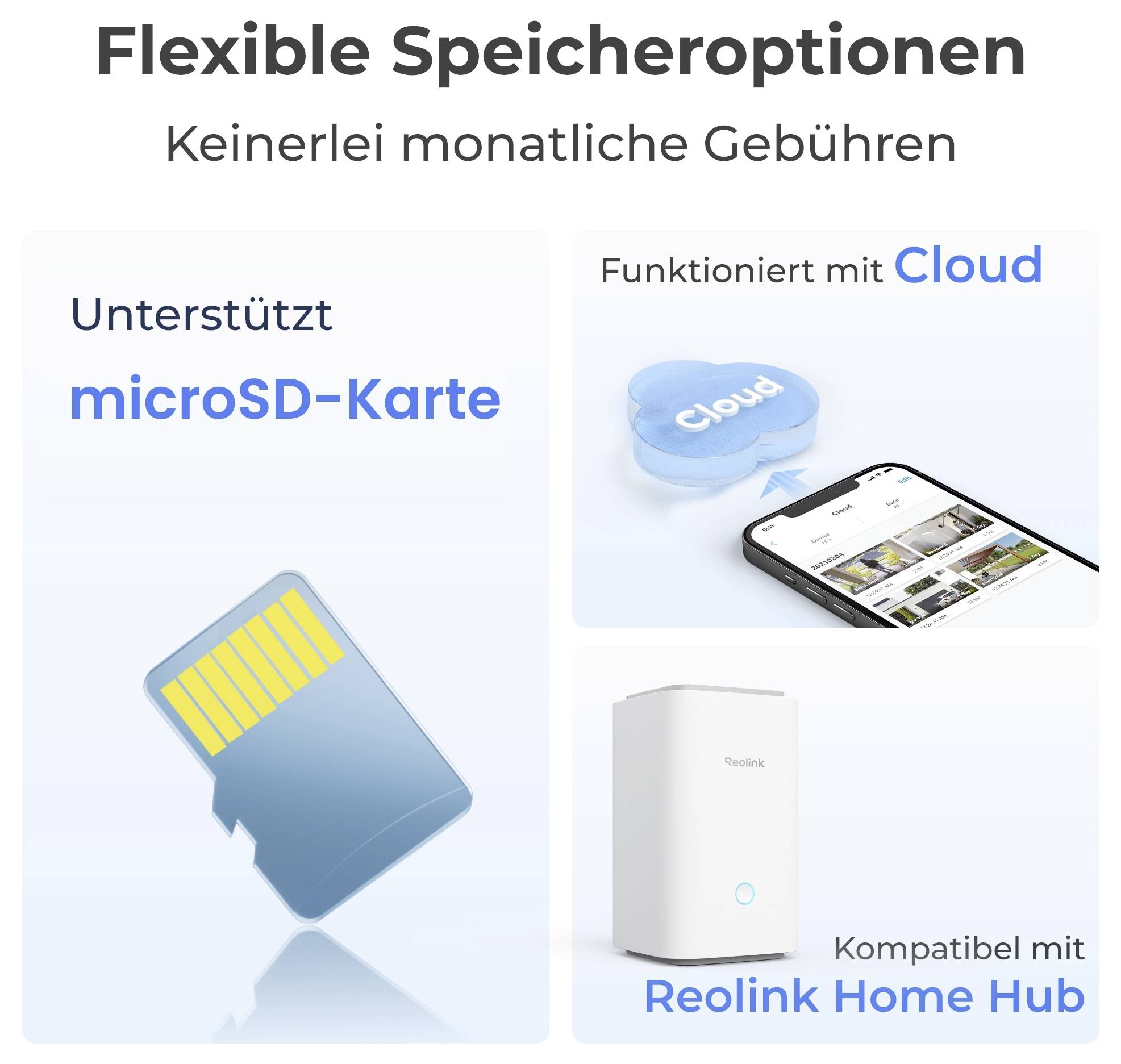 'Flexible Speicheroptionen': Options include microSD card support, Cloud functionality, and compatibility with Reolink Home Hub.