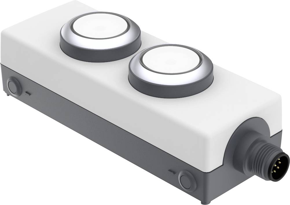 RAFI 1.22.392.392/2200 LDT091 Illuminated push button 24 V 0.5 A momentary (L x W x H) 123.2 x 40 x 35.6 mm 1 pc(s)