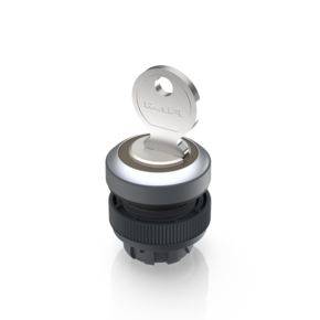 RAFI 1.30.245.202/0000 RAFIX 22 QR Key switch 1 x 90 ° 1 pc(s)