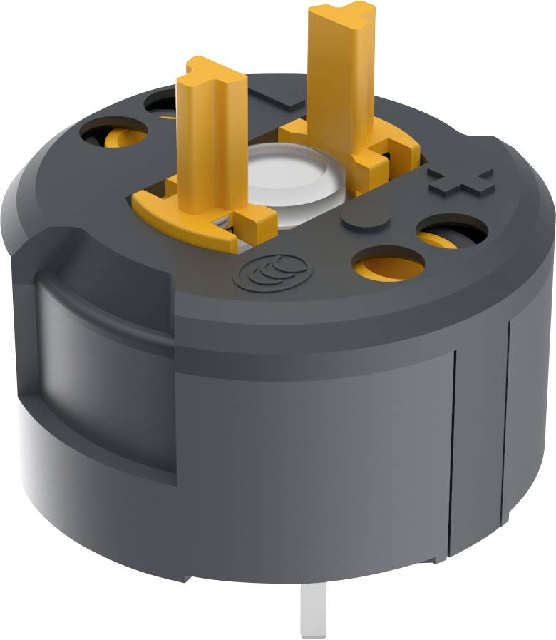 RAFI 1.20.126.604/0000 Switcher 2 breakers 250 V 1 pc(s)