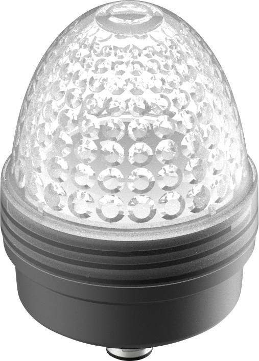 RAFI 1.69.010.005/0000 Indicator light Colourless 1 pc(s)