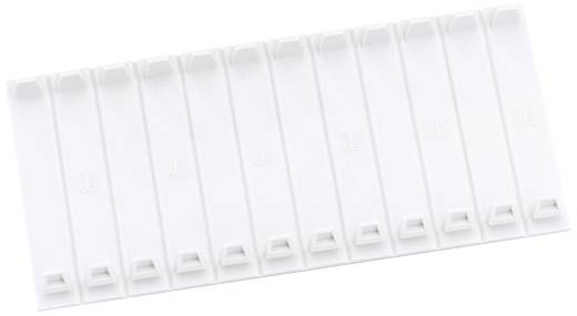 White plastic plate with ten rectangular recesses, evenly distributed.