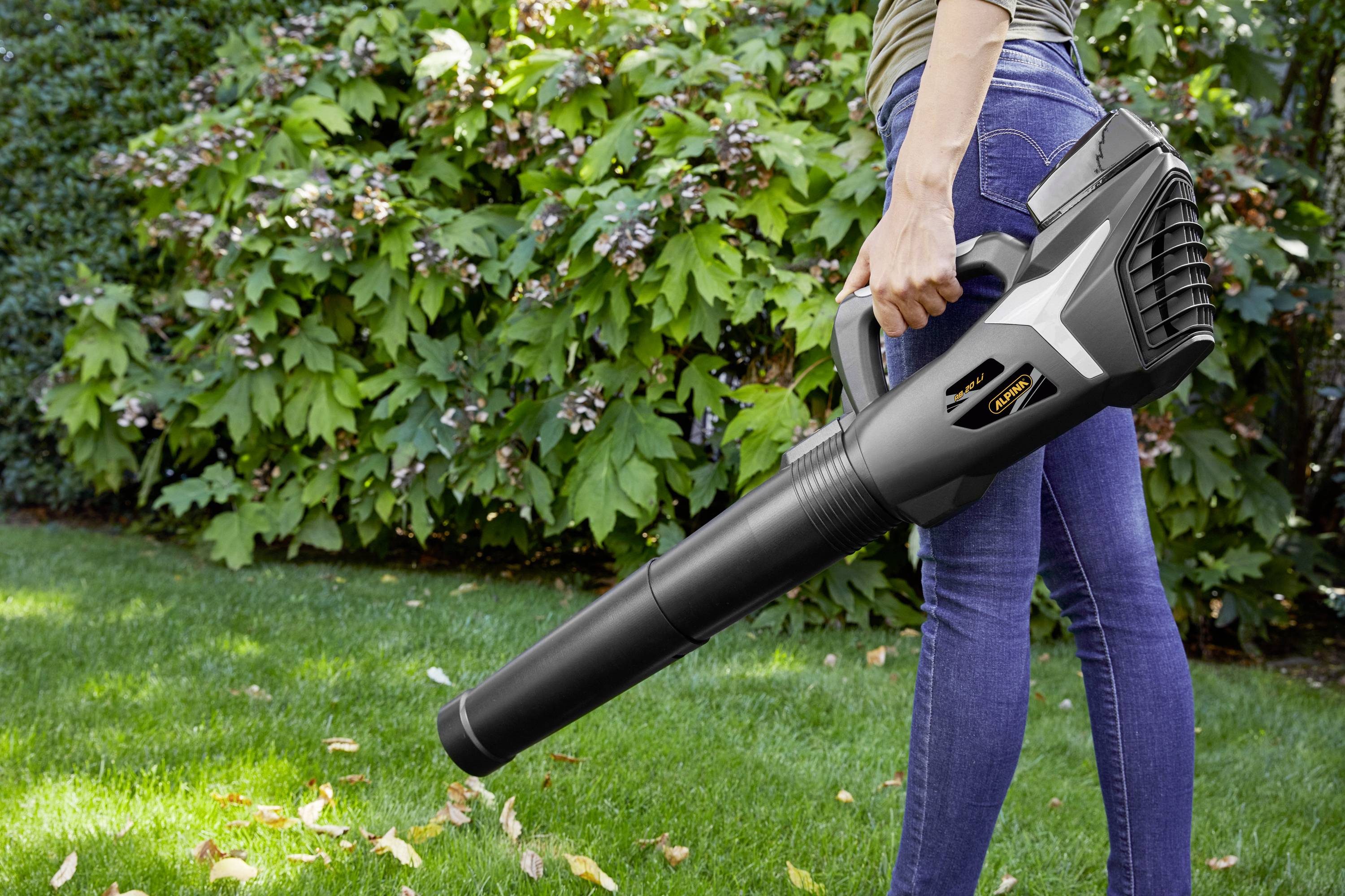 ALPINA Outdoor 271504104/A24 AB 20 Li Rechargeable battery Blower 20 V