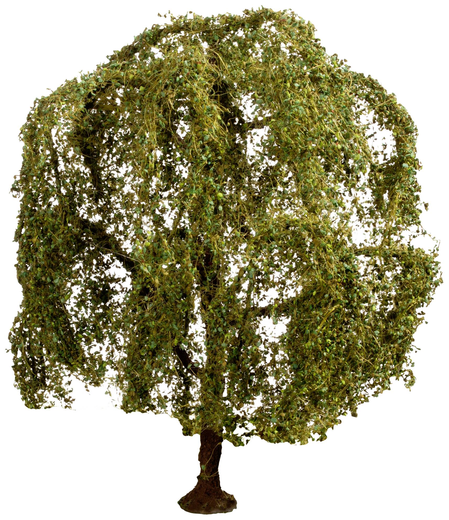 A large, lush-leafed tree with drooping branches; green foliage dominates the image and conveys a natural impression.