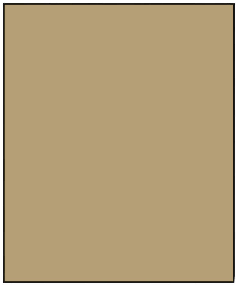 Uniform brown surface without additional patterns or details.