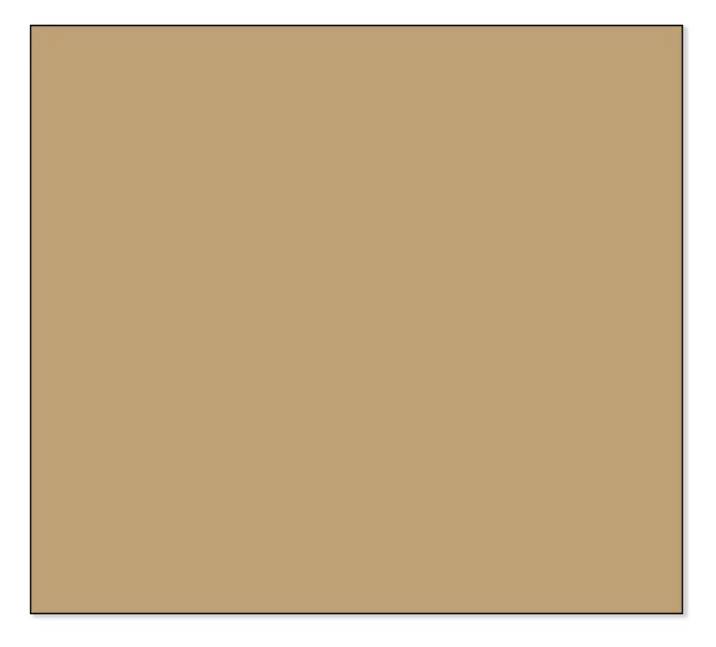 A rectangular image with a continuous light brown colour, without any further details or patterns.
