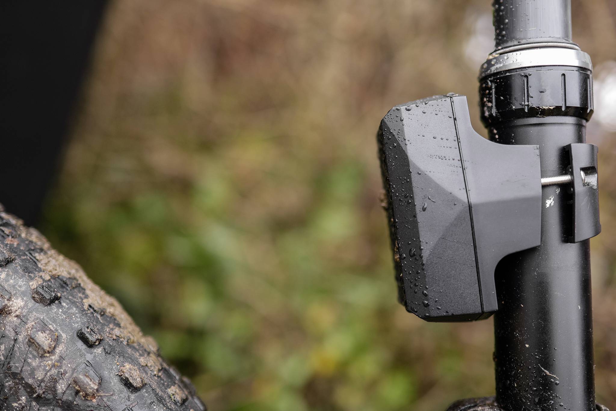 Close-up of a bicycle with a wide tyre and a wet mudguard on the fork, surrounded by a blurred background of vegetation.