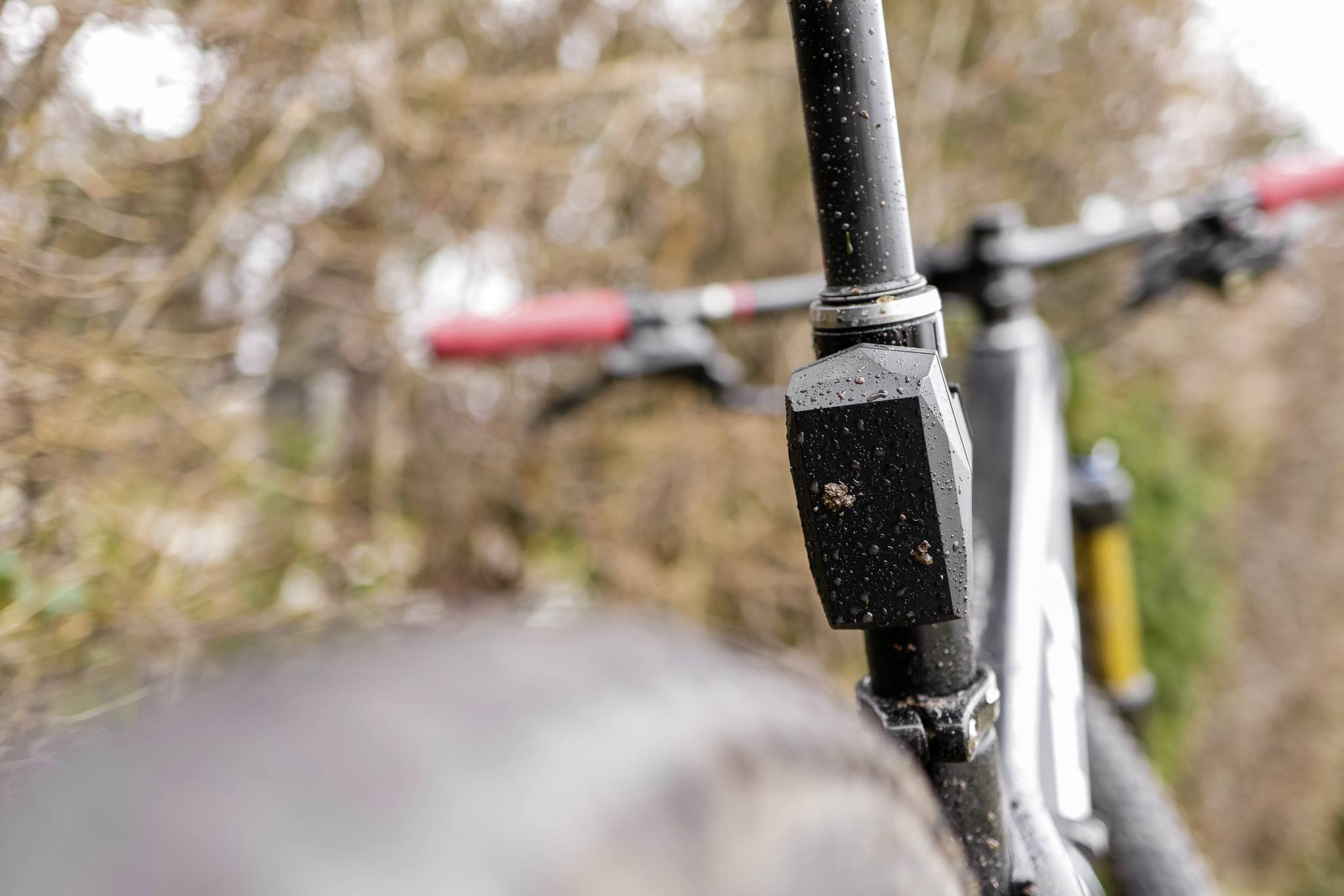 Close-up of a bicycle focusing on the saddle and handlebars. Blurred trees are visible in the background.