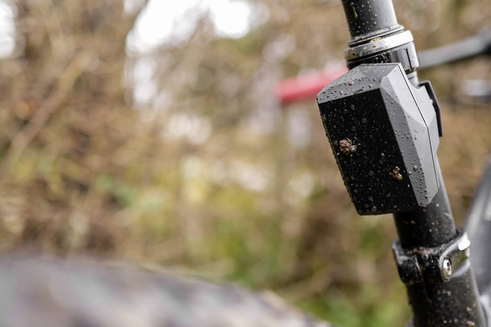 Close-up of a dirty bicycle frame outdoors, surrounded by blurred foliage in the background.