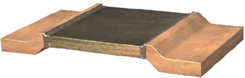 Isabellenhütte BVS-M-R0005-1.0 BVS-M-R0005-1.0 SMD resistor 0.5 mΩ SMD 3920 5 W 1 % 70 ppm/K 1 pc(s)